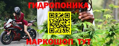 эйфоретик Новозыбков