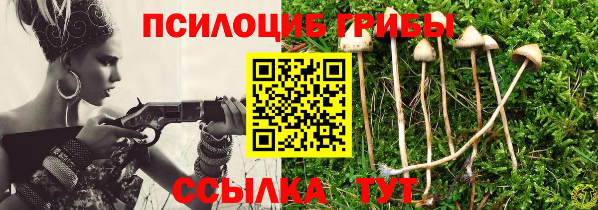 Галлюциногенные грибы прущие грибы Мегион