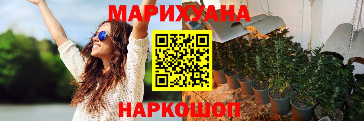 Конопля сатива  Каннабис индика  Бошки марихуана конопля  Вход с VPN  Мегион 